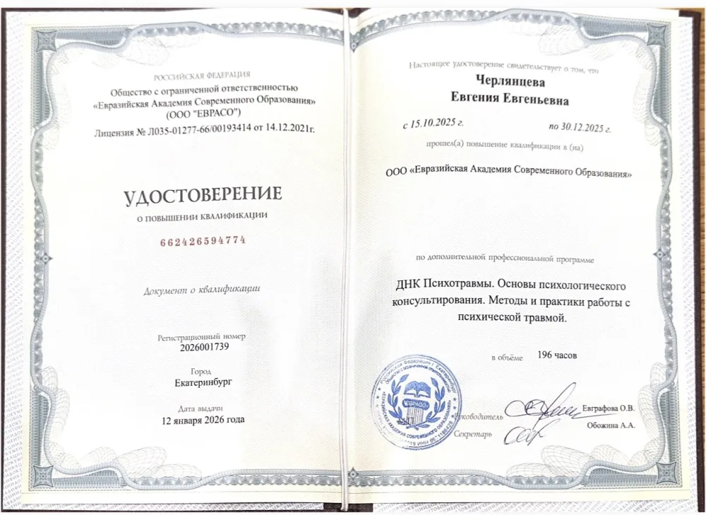 Диплом 9
